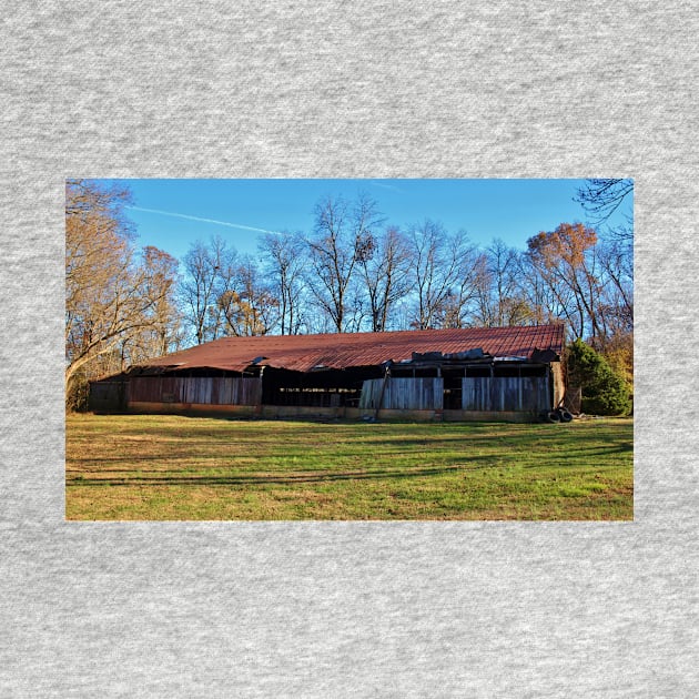 Rustic Shed by Cynthia48